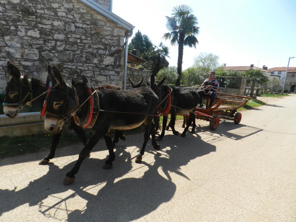 Ranch Radin Bed and Breakfast Brtonigla Buitenkant foto